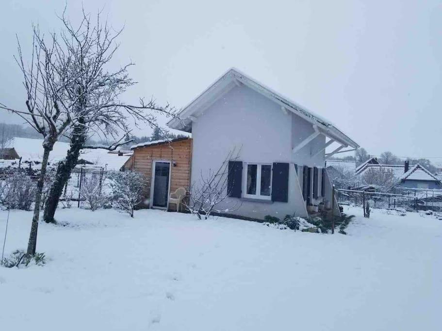 Gite Le Charmot, Au Pied Des Montagnes Classe 3* Roderen المظهر الخارجي الصورة