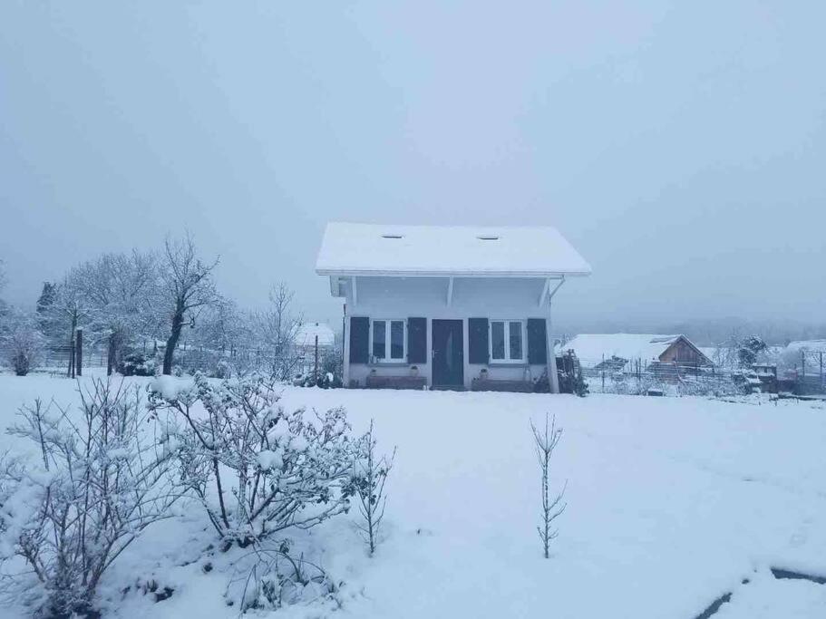 Gite Le Charmot, Au Pied Des Montagnes Classe 3* Roderen المظهر الخارجي الصورة