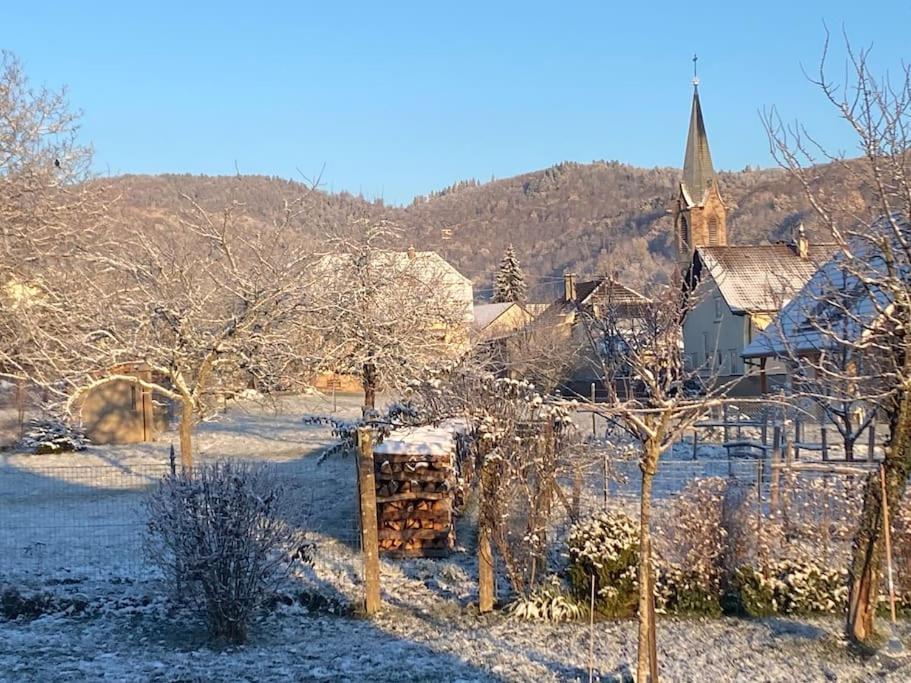 Gite Le Charmot, Au Pied Des Montagnes Classe 3* Roderen المظهر الخارجي الصورة