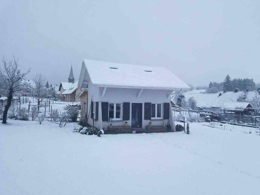 Gite Le Charmot, Au Pied Des Montagnes Classe 3* Roderen المظهر الخارجي الصورة